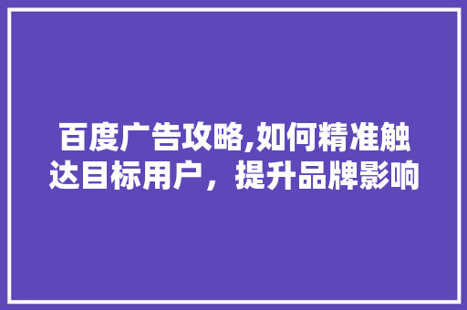 百度广告攻略,如何精准触达目标用户，提升品牌影响力