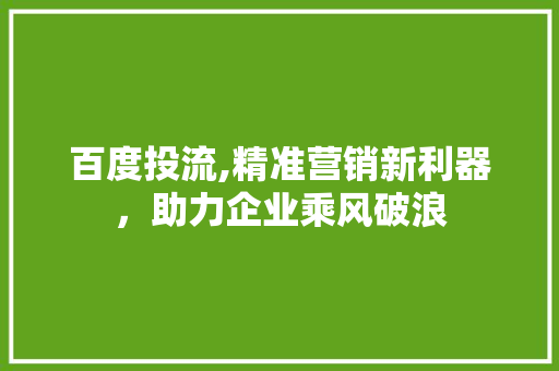 百度投流,精准营销新利器，助力企业乘风破浪