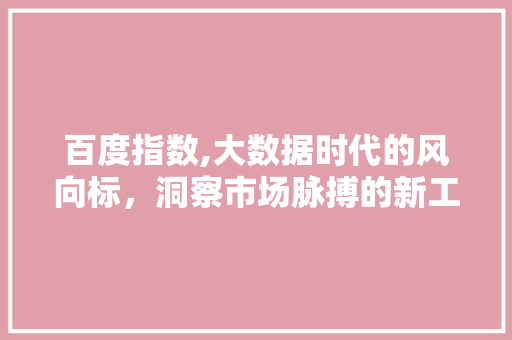 百度指数,大数据时代的风向标，洞察市场脉搏的新工具