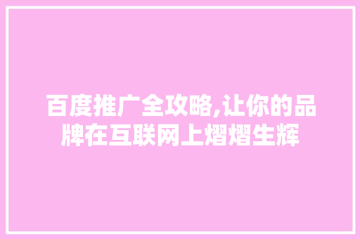 百度推广全攻略,让你的品牌在互联网上熠熠生辉