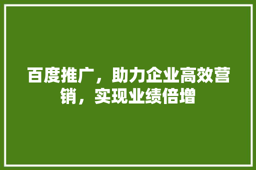 百度推广，助力企业高效营销，实现业绩倍增