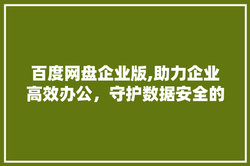 百度网盘企业版,助力企业高效办公，守护数据安全的得力助手