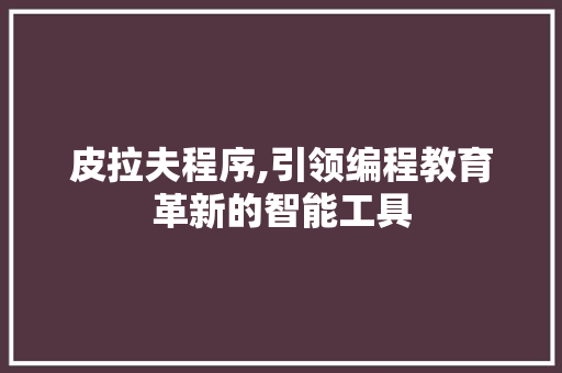 皮拉夫程序,引领编程教育革新的智能工具