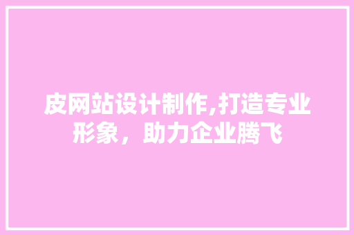 皮网站设计制作,打造专业形象，助力企业腾飞