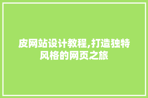 皮网站设计教程,打造独特风格的网页之旅