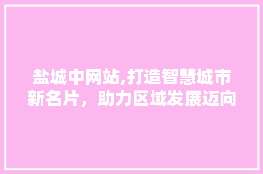 盐城中网站,打造智慧城市新名片，助力区域发展迈向新高度