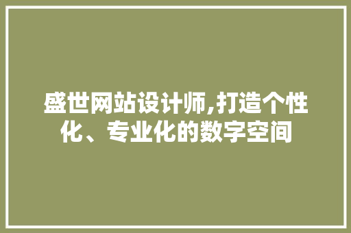 盛世网站设计师,打造个性化、专业化的数字空间