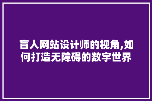 盲人网站设计师的视角,如何打造无障碍的数字世界