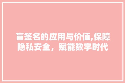 盲签名的应用与价值,保障隐私安全，赋能数字时代