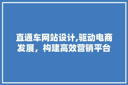 直通车网站设计,驱动电商发展，构建高效营销平台