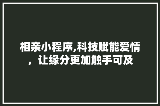 相亲小程序,科技赋能爱情，让缘分更加触手可及