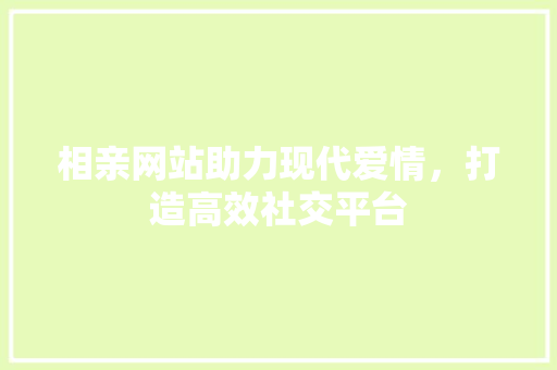 相亲网站助力现代爱情，打造高效社交平台