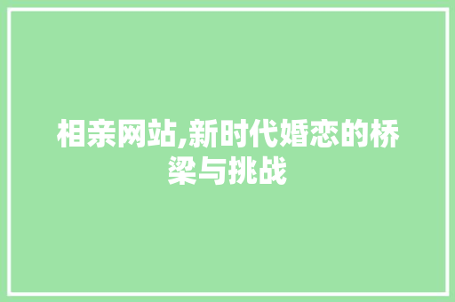 相亲网站,新时代婚恋的桥梁与挑战