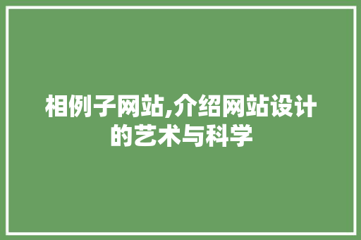 相例子网站,介绍网站设计的艺术与科学