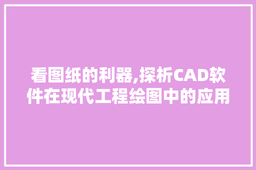 看图纸的利器,探析CAD软件在现代工程绘图中的应用