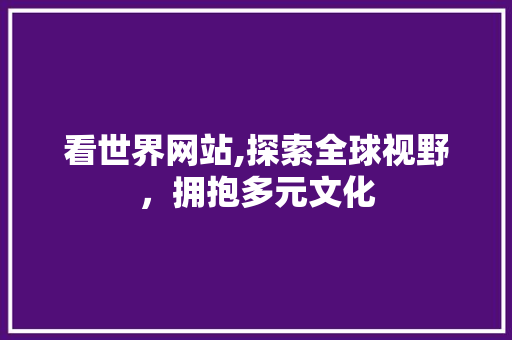 看世界网站,探索全球视野，拥抱多元文化