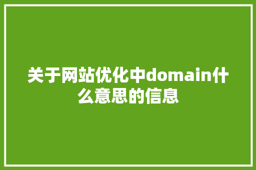 关于网站优化中domain什么意思的信息 关于网站优化中domain什么意思的信息 必应SEO
