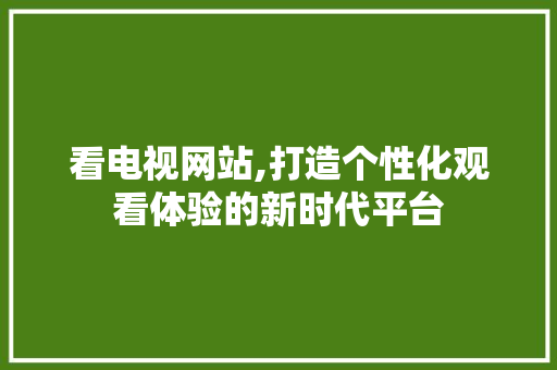 看电视网站,打造个性化观看体验的新时代平台