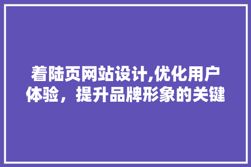 着陆页网站设计,优化用户体验，提升品牌形象的关键一步