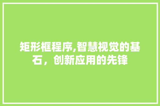 矩形框程序,智慧视觉的基石，创新应用的先锋