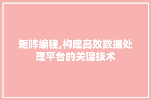 矩阵编程,构建高效数据处理平台的关键技术