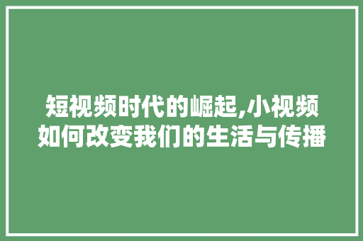 短视频时代的崛起,小视频如何改变我们的生活与传播方式