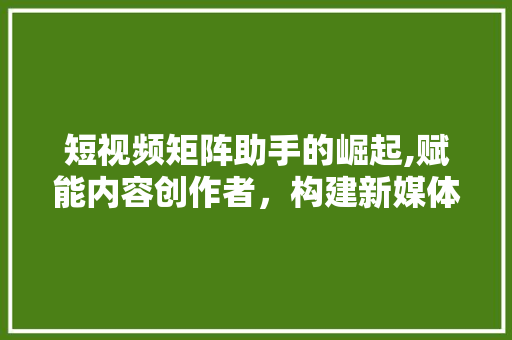 短视频矩阵助手的崛起,赋能内容创作者，构建新媒体生态