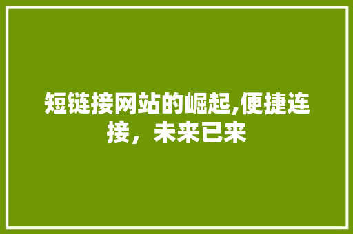 短链接网站的崛起,便捷连接，未来已来