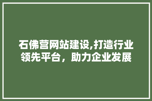 石佛营网站建设,打造行业领先平台，助力企业发展