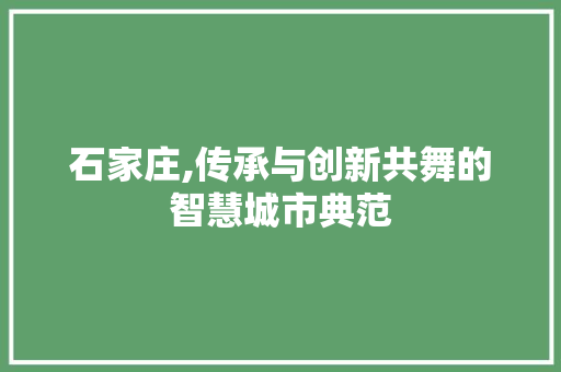 石家庄,传承与创新共舞的智慧城市典范