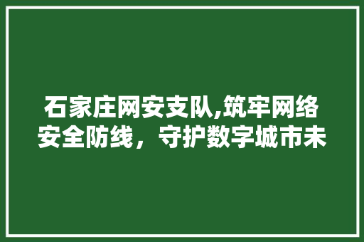 石家庄网安支队,筑牢网络安全防线，守护数字城市未来