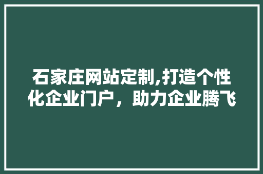 石家庄网站定制,打造个性化企业门户，助力企业腾飞