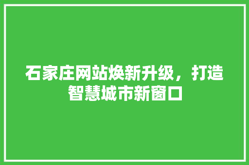 石家庄网站焕新升级，打造智慧城市新窗口