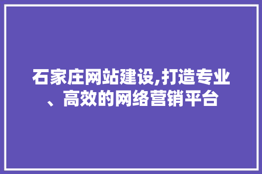 石家庄网站建设,打造专业、高效的网络营销平台