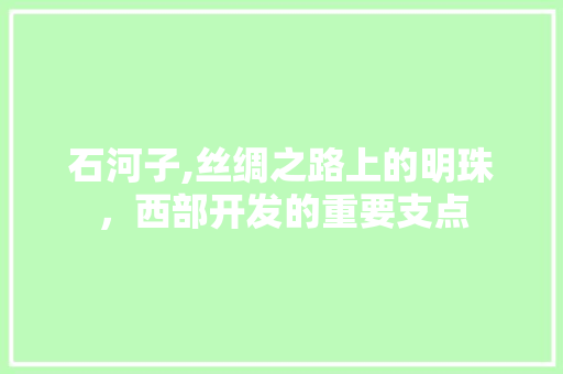 石河子,丝绸之路上的明珠，西部开发的重要支点
