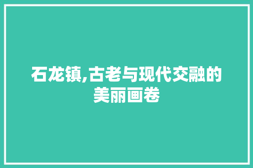 石龙镇,古老与现代交融的美丽画卷