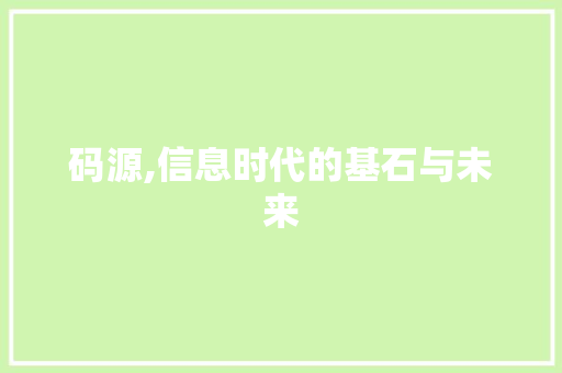 码源,信息时代的基石与未来