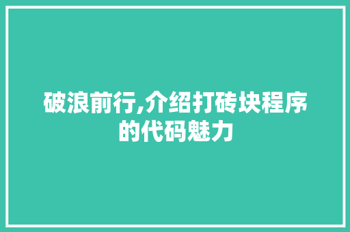 破浪前行,介绍打砖块程序的代码魅力