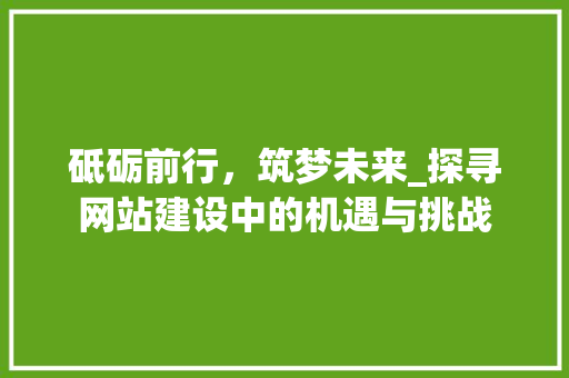 砥砺前行，筑梦未来_探寻网站建设中的机遇与挑战