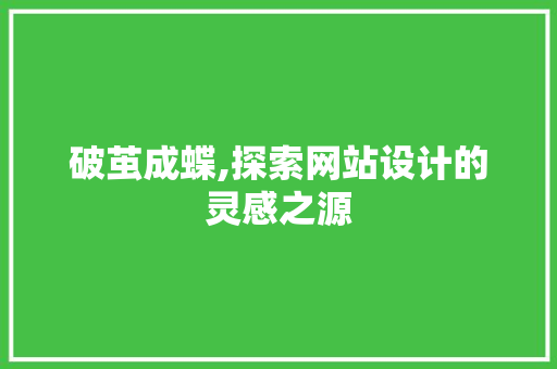 破茧成蝶,探索网站设计的灵感之源