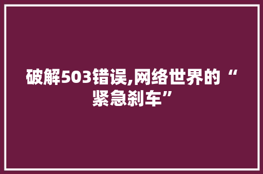 破解503错误,网络世界的“紧急刹车”