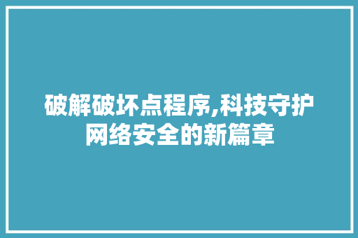破解破坏点程序,科技守护网络安全的新篇章