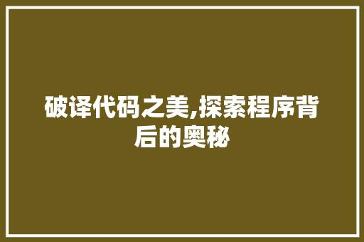 破译代码之美,探索程序背后的奥秘