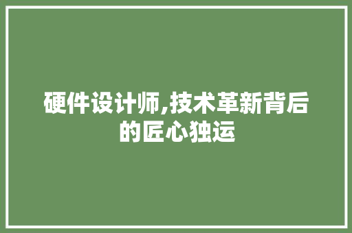 硬件设计师,技术革新背后的匠心独运