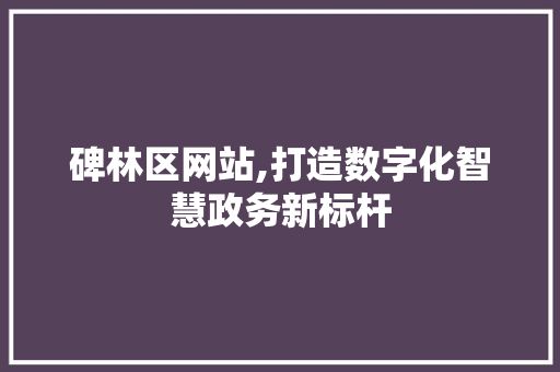 碑林区网站,打造数字化智慧政务新标杆