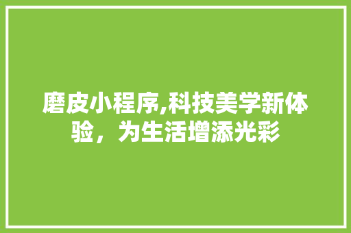 磨皮小程序,科技美学新体验，为生活增添光彩