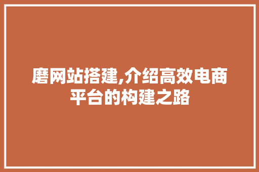 磨网站搭建,介绍高效电商平台的构建之路