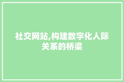 社交网站,构建数字化人际关系的桥梁 社交网站,构建数字化人际关系的桥梁 神马SEO