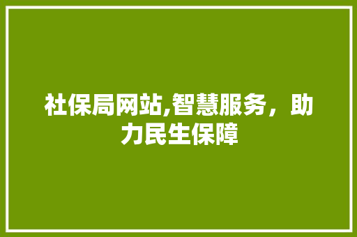 社保局网站,智慧服务，助力民生保障