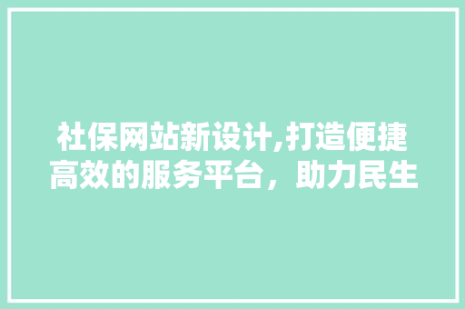 社保网站新设计,打造便捷高效的服务平台，助力民生保障新篇章